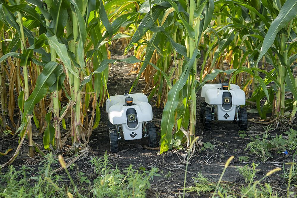 Sustainable Farming